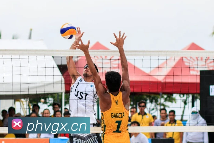 乐鱼网页版官网平台生态图